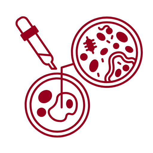 microbiología