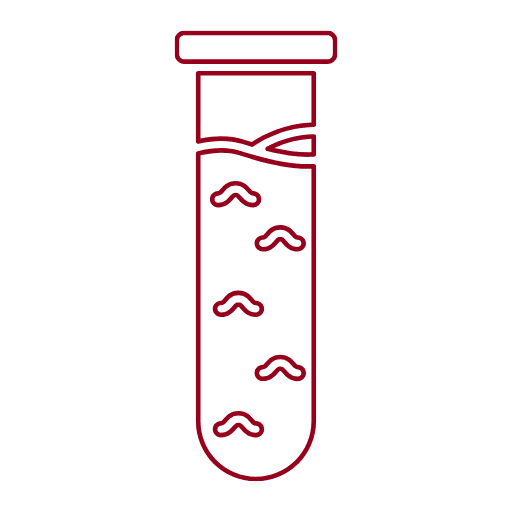 quimica